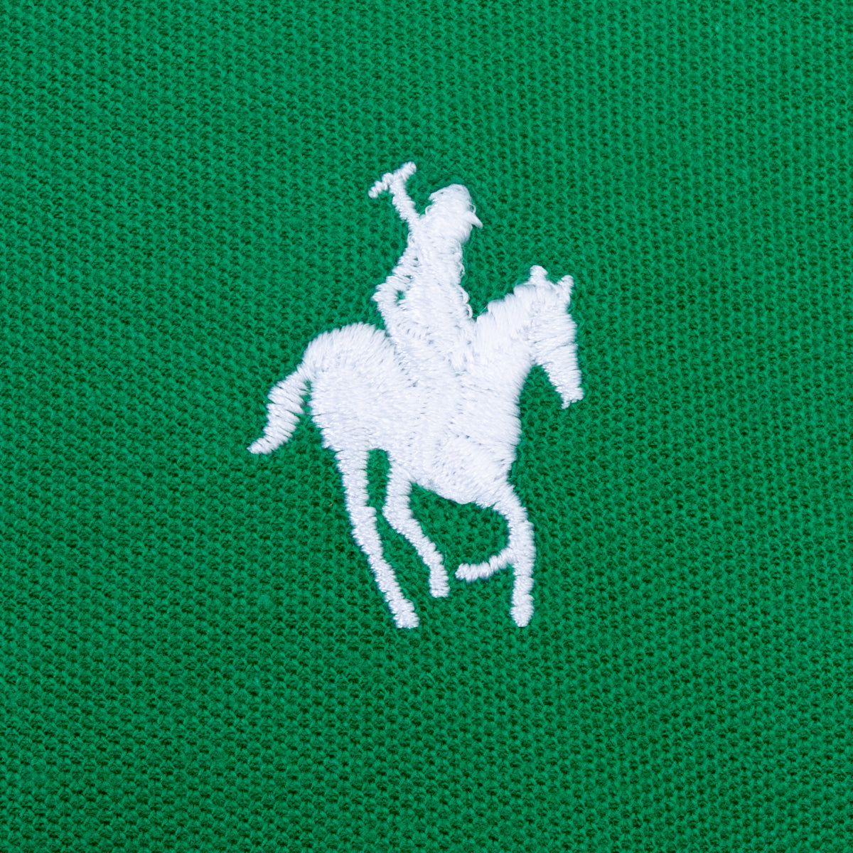 Polo Pasión Mundial