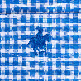 Camisa Cuadro Pequeño Azul