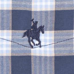 Camisa Button Down