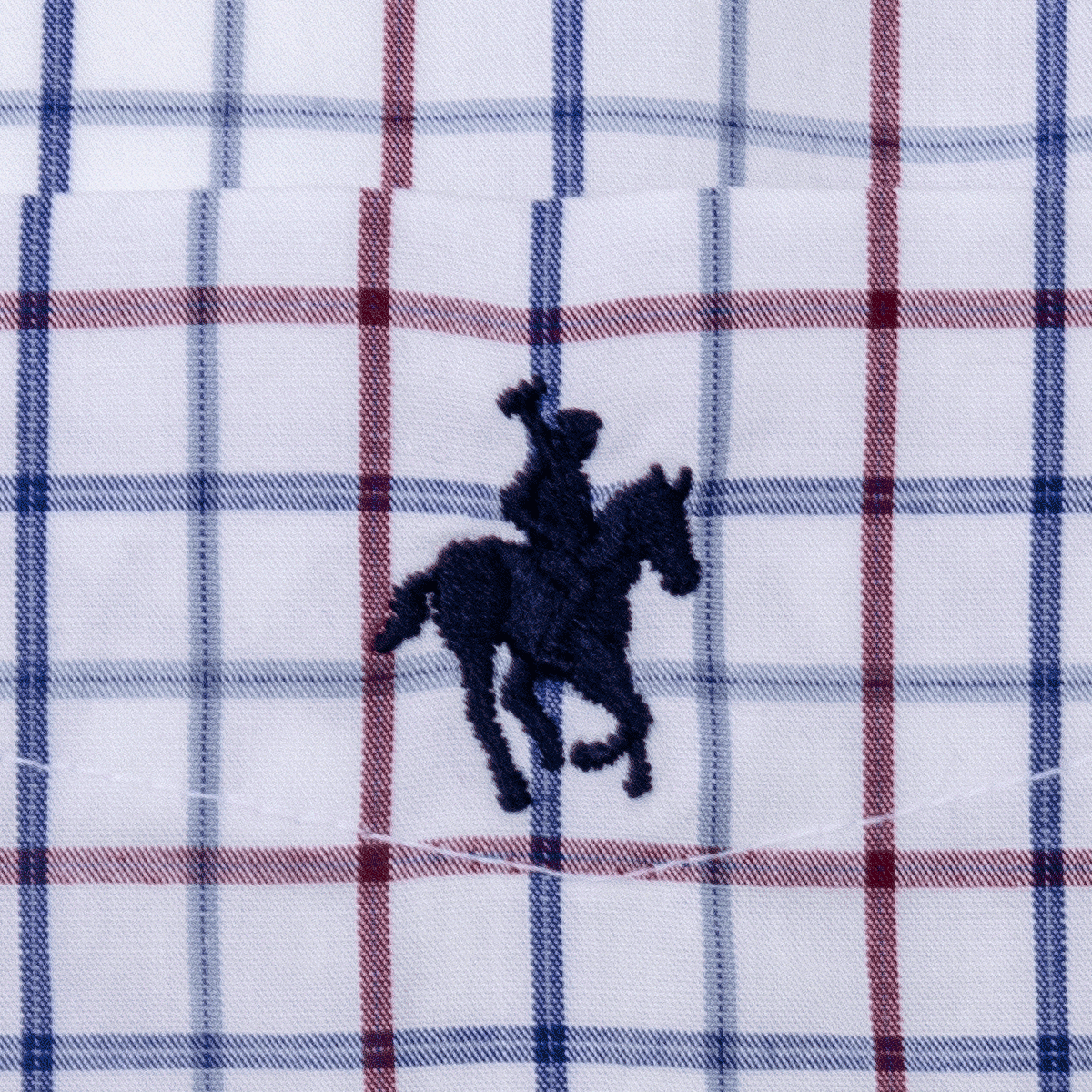 Camisa Button Down