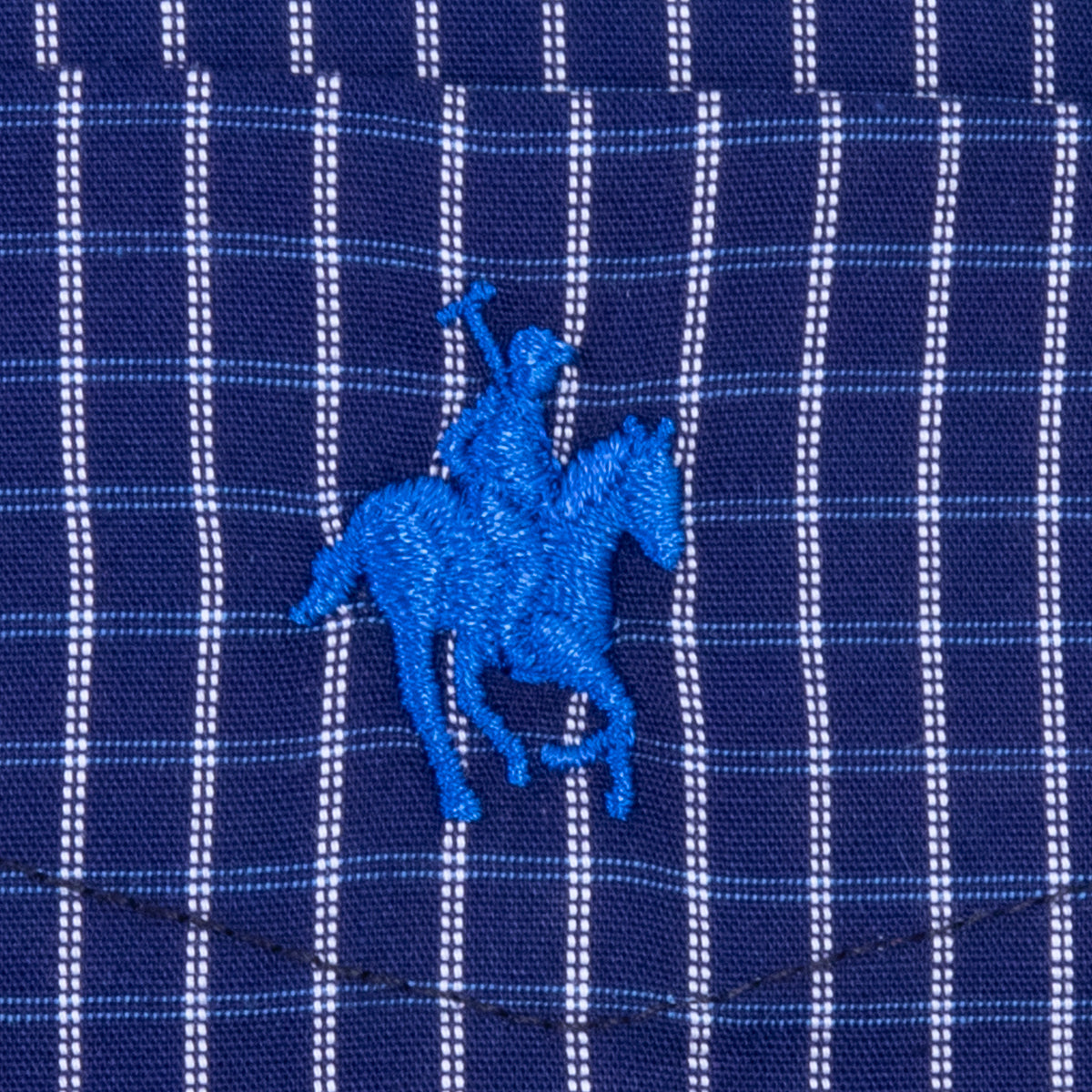 Camisa Button Down