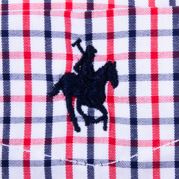 Camisa Button Down