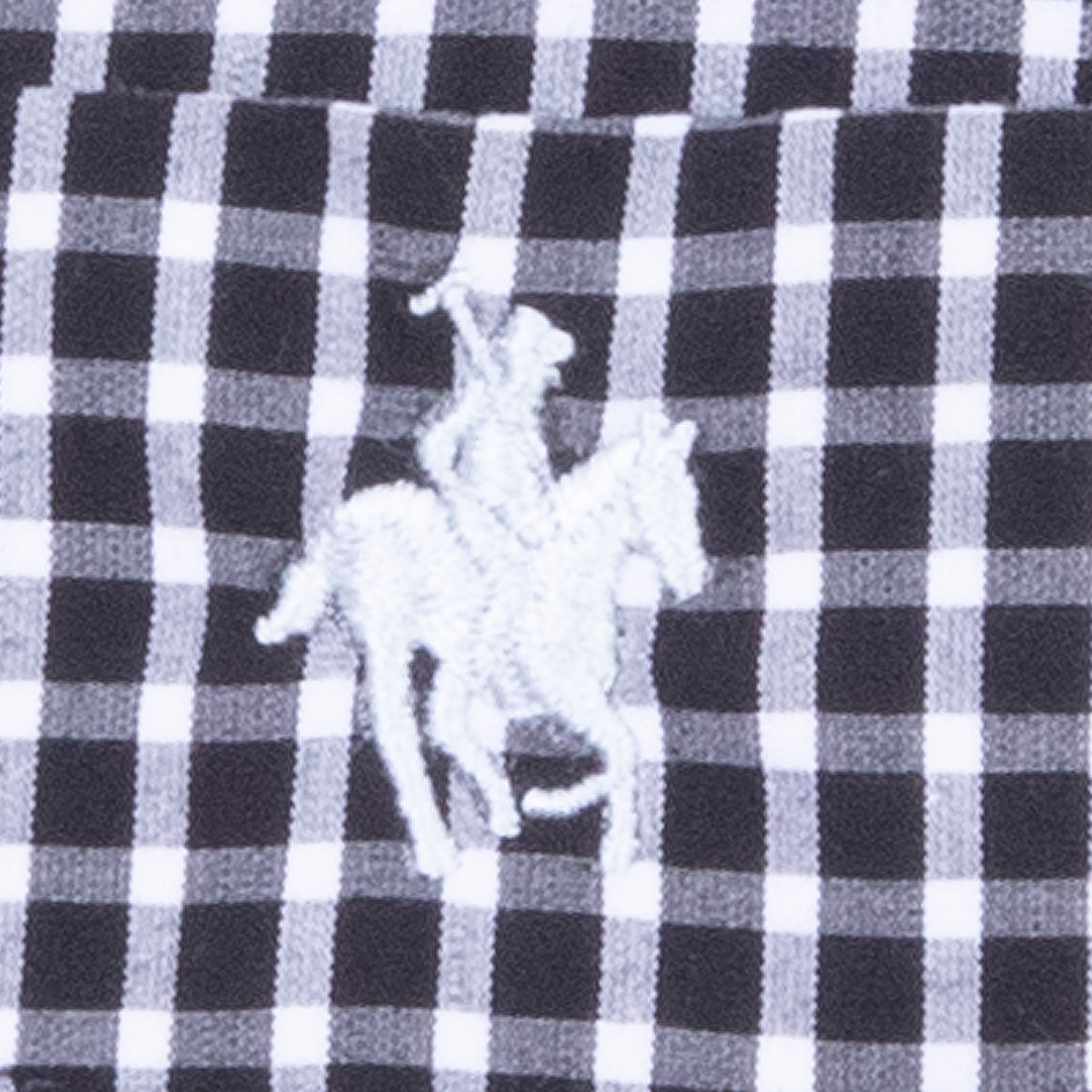 Camisa Button Down