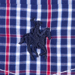 Camisa Button Down